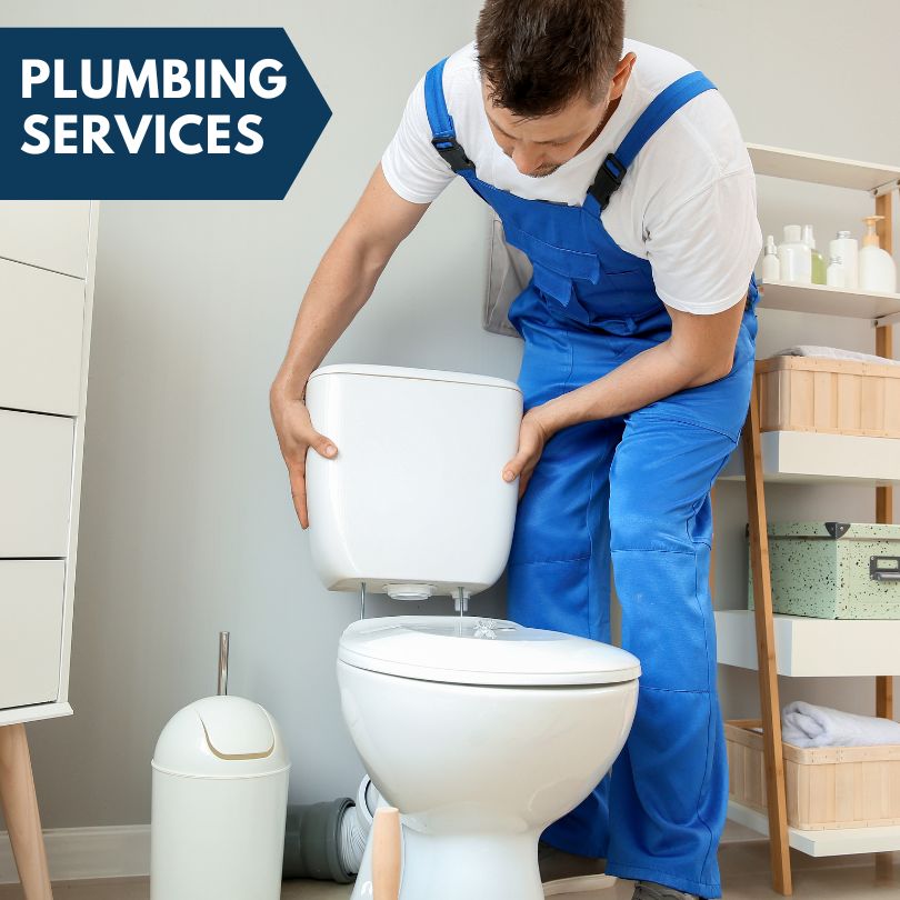 Plumbing Company in Dorr, MI
